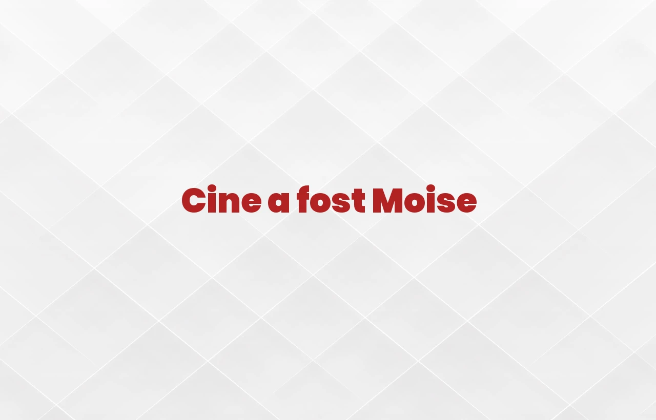 cine a fost moise