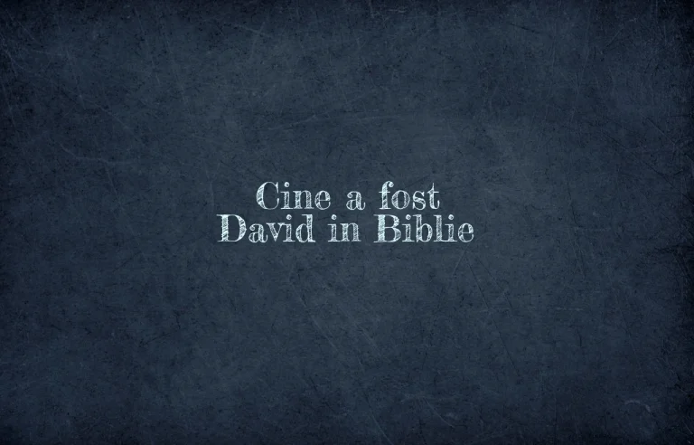 cine a fost david in biblie